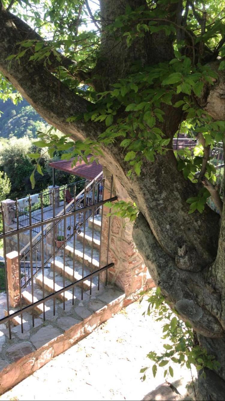 Holiday Home La Musica Budva Quarto foto